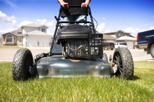 mowing the lawn