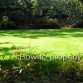 How To Plant Your Lawn Properly